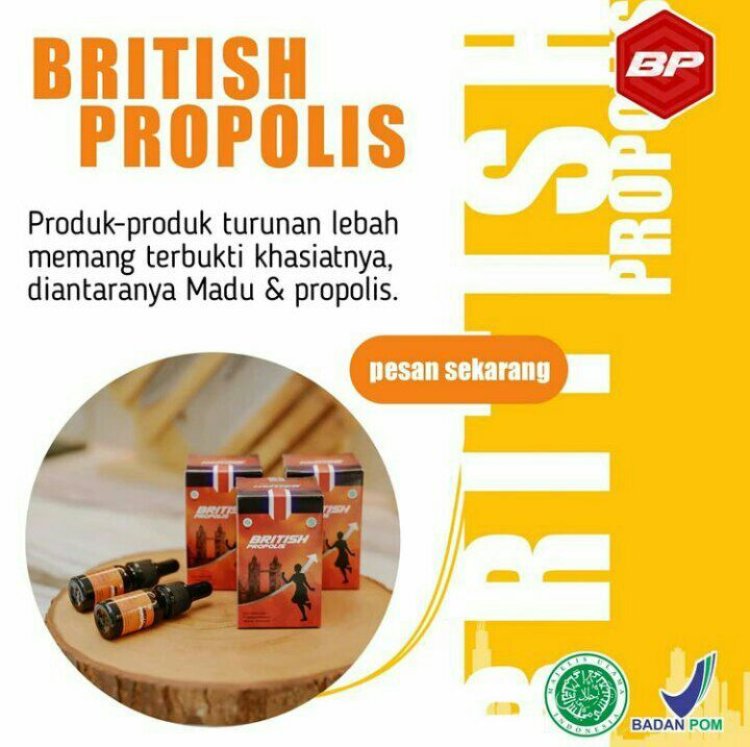 British Propolis Produk Herbal Premium