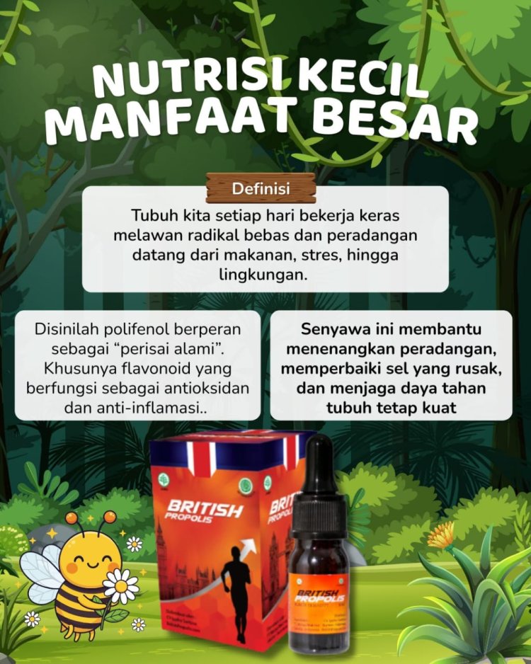 Nutrisi kecil banyak manfaat 